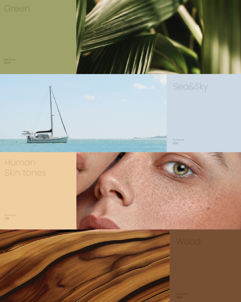 Audela Rebranding